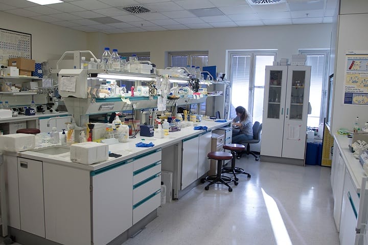 Rewa College of Pharmacy, Rewa campus photo 4