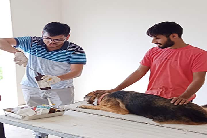 MR College of Veterinary Sciences, Jhajjar campus photo 6