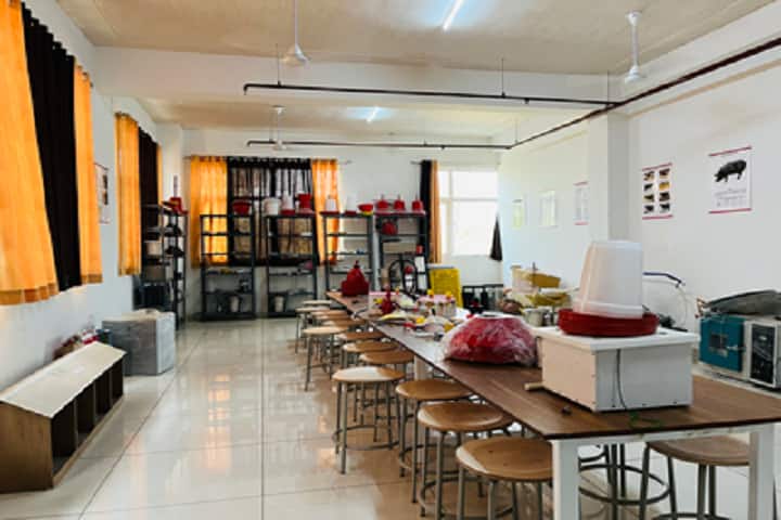Bhumika Institute of Veterinary Sciences, Mohindergarh campus photo 4