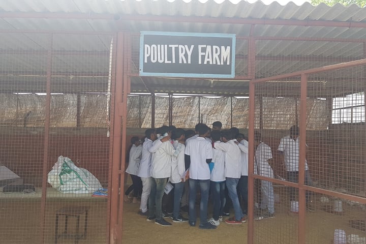 Apex Institute of Veterinary Livestock Development Diploma, Tohana campus photo 4