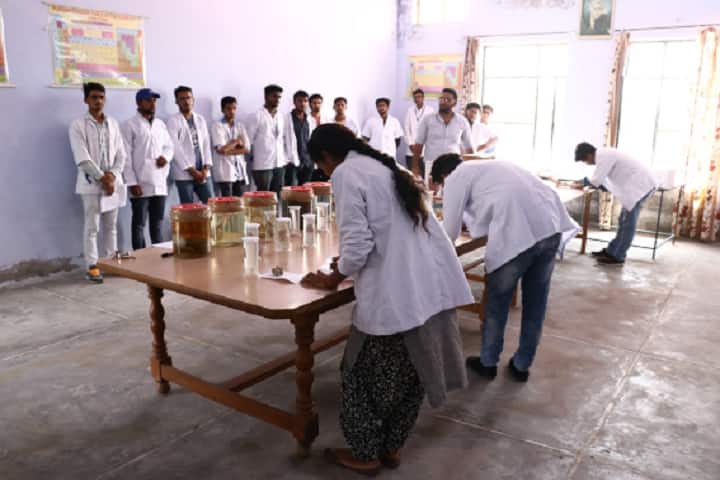 Apex Institute of Veterinary Livestock Development Diploma, Tohana campus photo 6