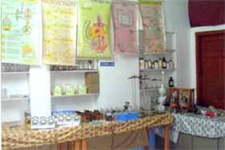 Meera Mahila B Ed College, Chittorgarh campus photo 5