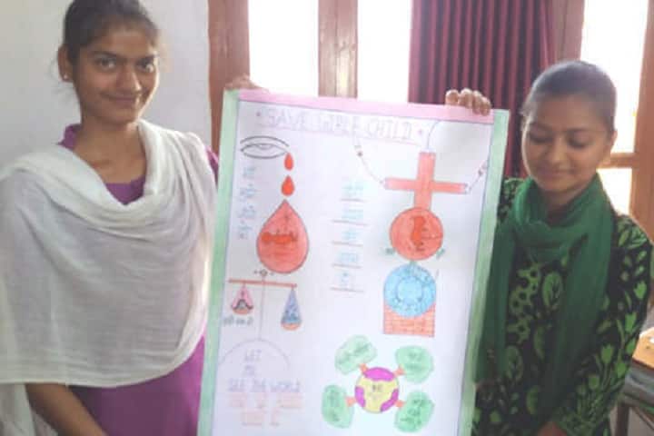 Rana Pratap Mahila Teachers Training College, Udaipur campus photo 4