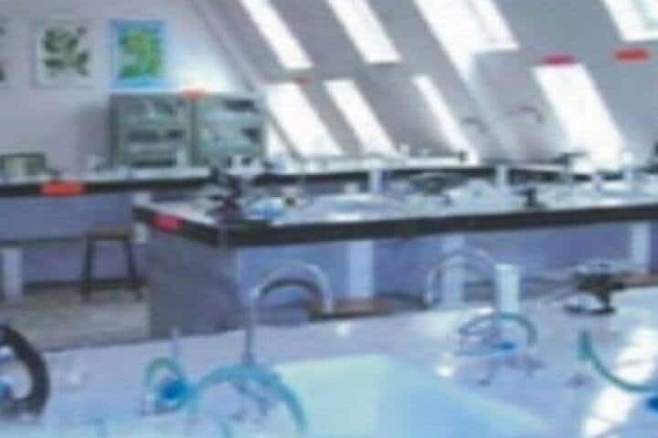 Ujjain Institute of Pharmaceutical Sciences, Ujjain campus photo 5