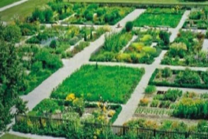 Uttaranchal Unani Medical College and Hospital, Haridwar campus photo 5