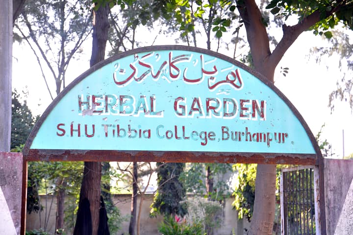 Saifia Hamidia Unani Medical College Saeeda Hospital and Research Centre, Burhanpur campus photo 6