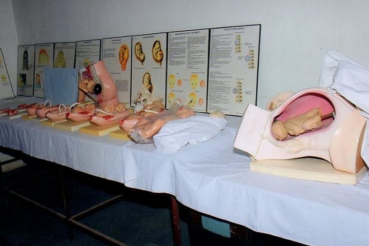 Indira Bahuuddeshiya Shikshan Sanstha College of Nursing, Buldhana campus photo 2