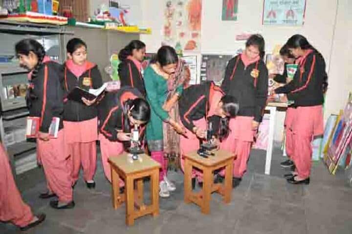 HP College of Education, Shimla campus photo 2