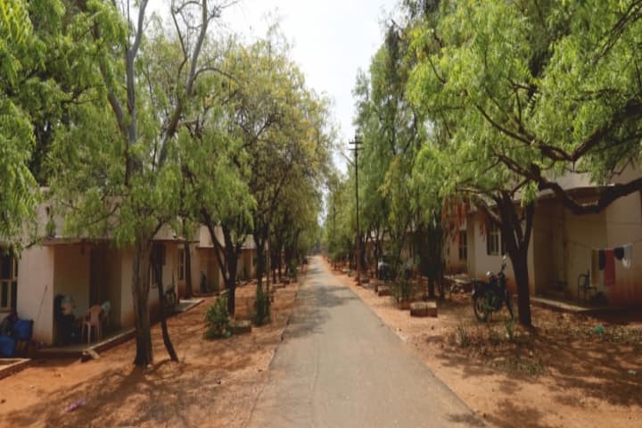 Madurai Kamaraj University campus photo 6