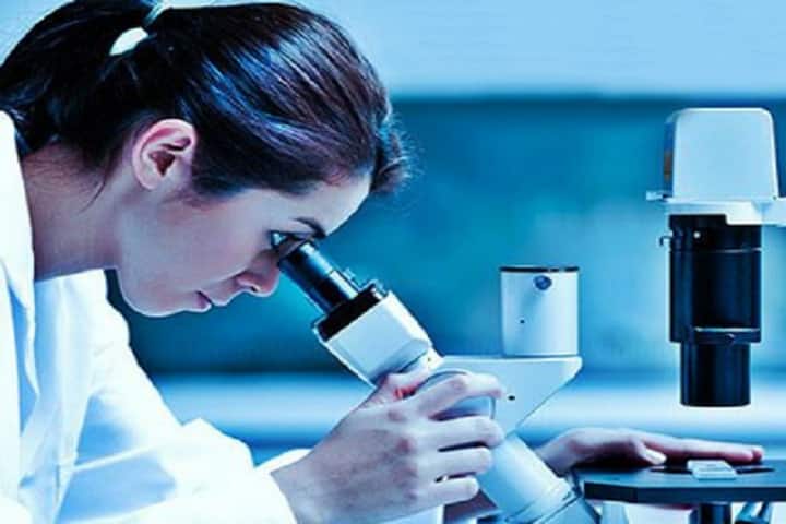 Sigma College of Pharmacy, Ludhiana campus photo 3