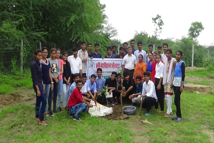 College of Agriculture, Bhilwara campus photo 5
