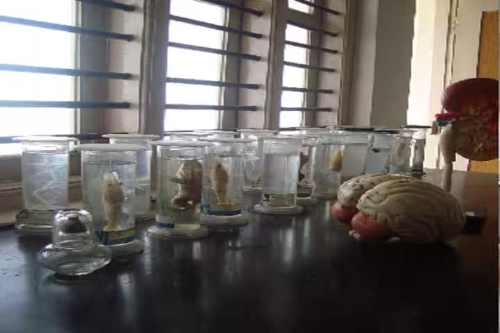 Shri Sai B Ed College, Hubli campus photo 3
