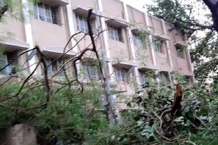 Government Yoga and Naturopathy Medical College, Chennai campus photo 2