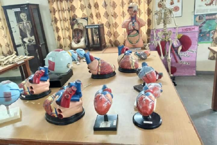 Government College of Nursing, Bhavnagar campus photo 3