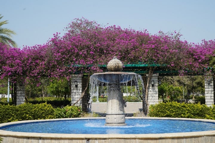Shiv Nadar School of Law, Chennai campus photo 3