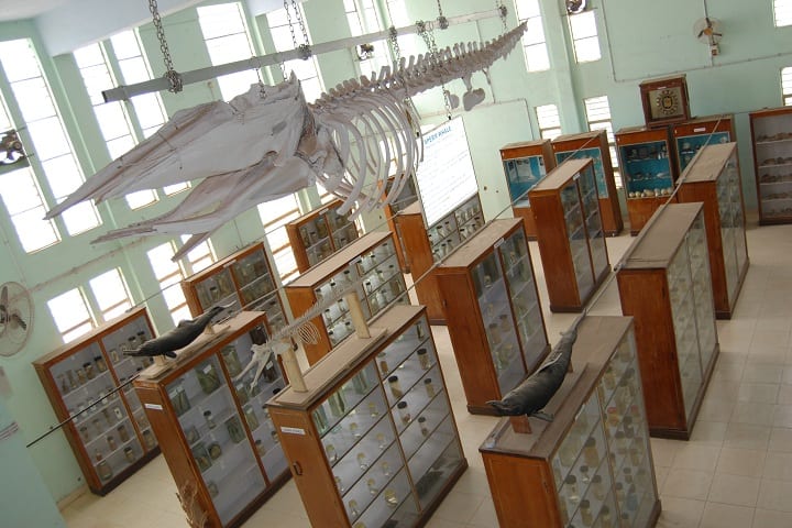 Fisheries College and Research Institute, Thoothukudi campus photo 5