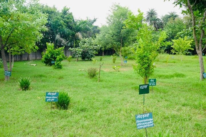 Charak Ayurvedic Medical College, Hospital, and Research Centre, Meerut campus photo 5