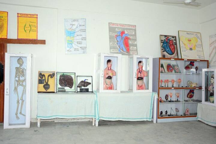 HKL College of Nursing, Ferozepur campus photo 4