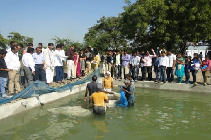 College of Fishery Science, Udgir campus photo 2