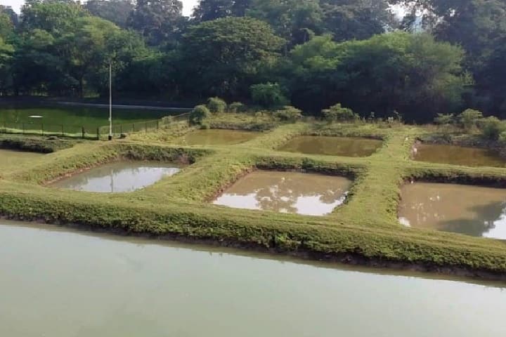 College of Fishery Sciences, Nagpur campus photo 5