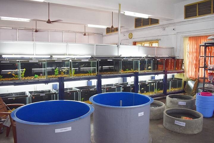 Dr MGR Fisheries College and Research Institute, Thalainayar campus photo 4