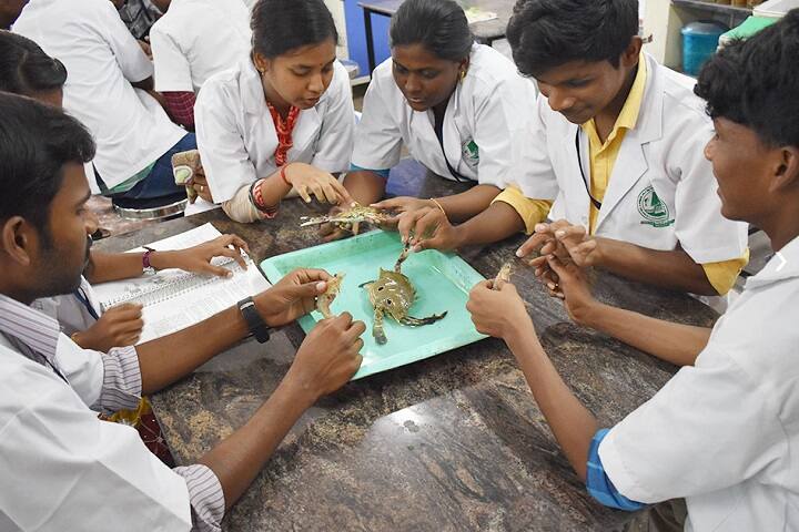 Dr MGR Fisheries College and Research Institute, Thalainayar campus photo 6