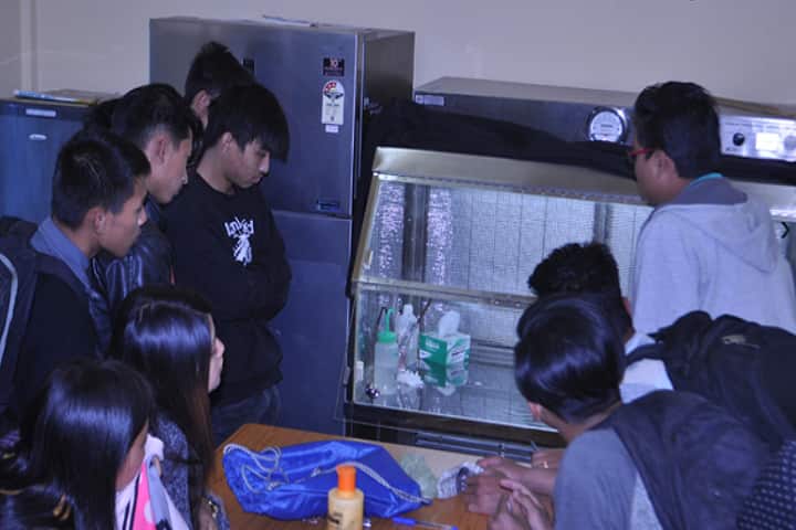 South Asian Institute of Rural and Agricultural Management, Imphal campus photo 4