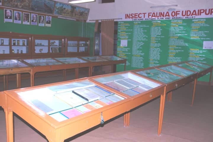 Rajasthan College of Agriculture, Udaipur campus photo 4