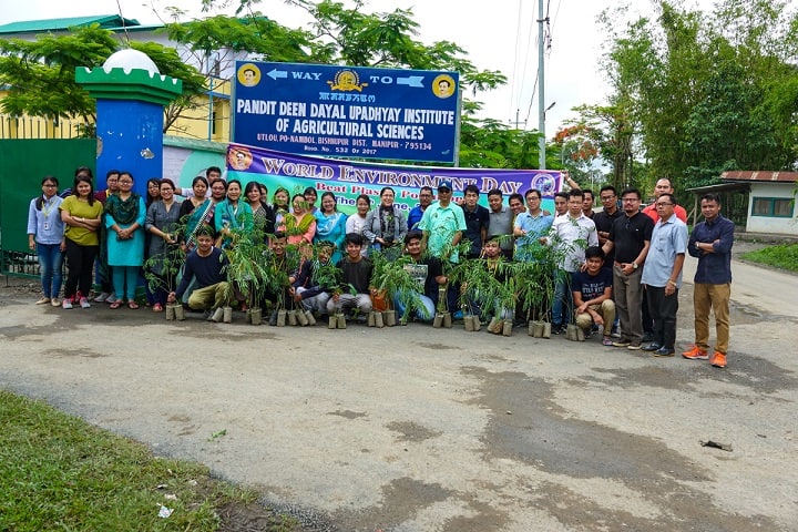 Pandit Deen Dayal Upadhyay Institute of Agriculture Sciences, Manipur campus photo 5