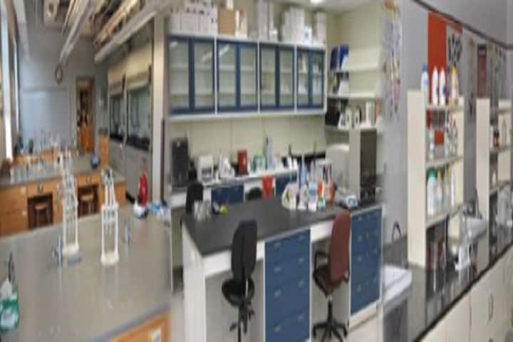 National Institute for Research in Tuberculosis, Chennai campus photo 3