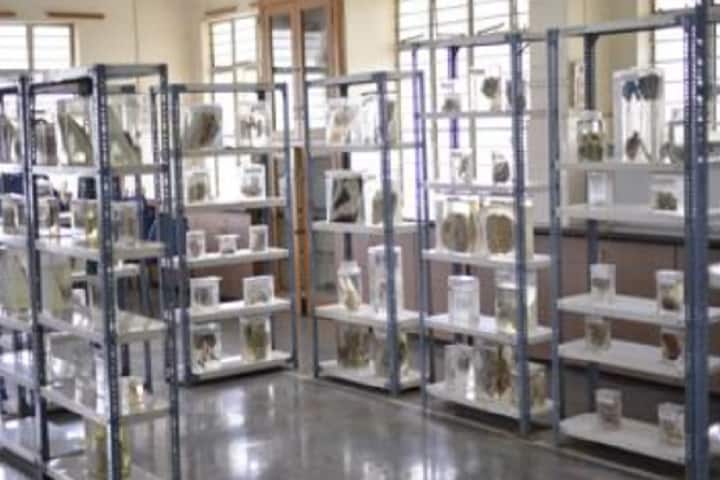 MAEER's College of Nursing, Talegaon Dabhade campus photo 4