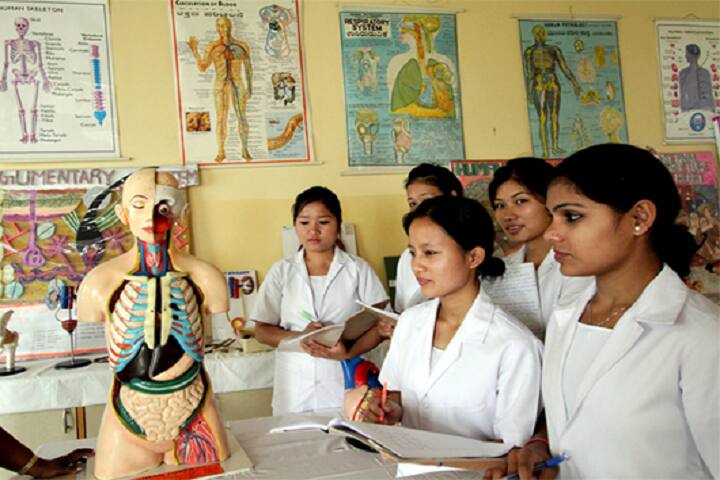 Madhukarrao Mahakalkar Nursing School, Nagpur campus photo 5