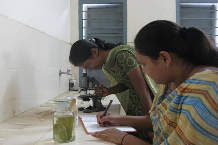 Government Mata Karma Girls College, Mahasamund campus photo 4