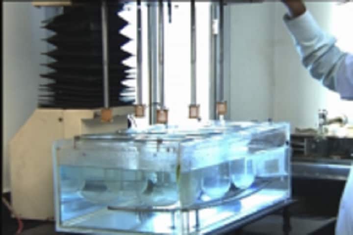 Krishnadevi Maheshwari Pharmacy College, Jhunjhunu campus photo 2