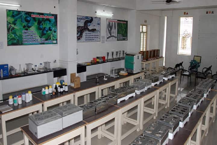 Sri Adi Siva Sadguru Alli Saheb Sivaaryula Homoeopathy Medical College, Guntakal campus photo 5