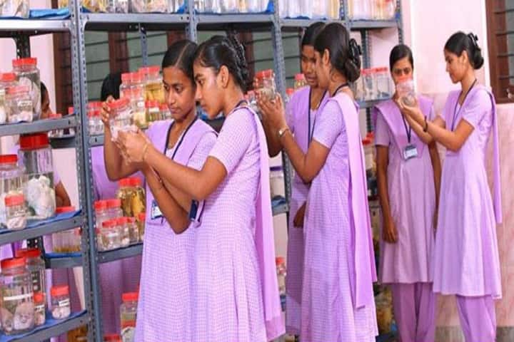 St Joseph's College of Nursing, Kothamangalam campus photo 3
