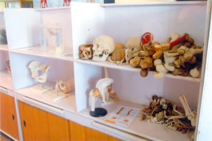 Sindagi Shantaveereshwar Ayurvedic Medical College-Hospital, Haveri campus photo 5