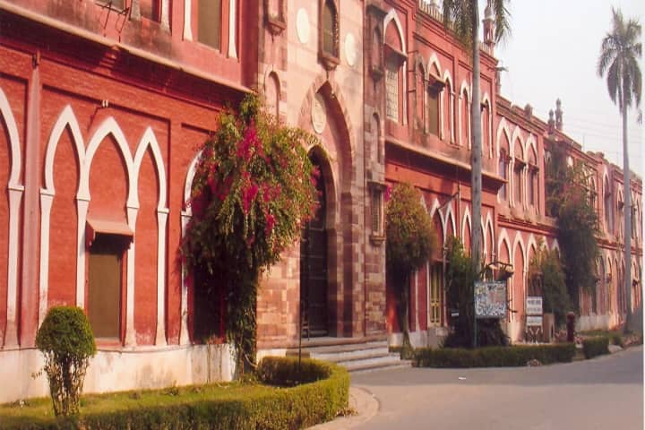AMU Aligarh campus photo 6
