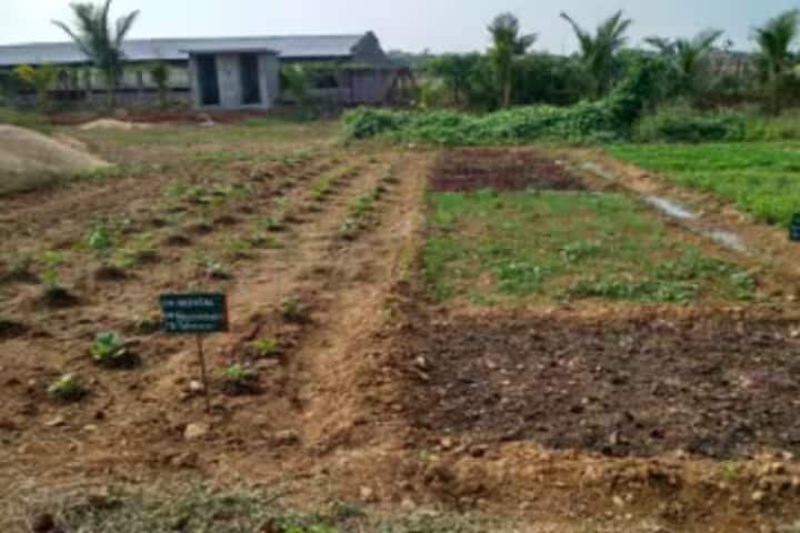 Kewalramji Harde College of Agriculture, Chamorshi campus photo 5
