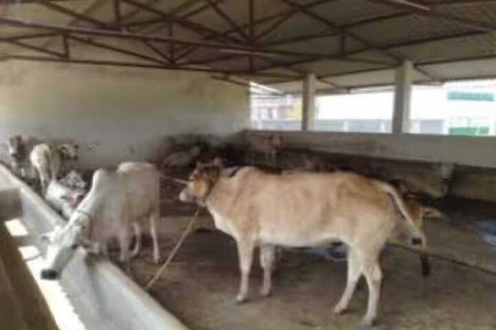 Kewalramji Harde College of Agriculture, Chamorshi campus photo 6
