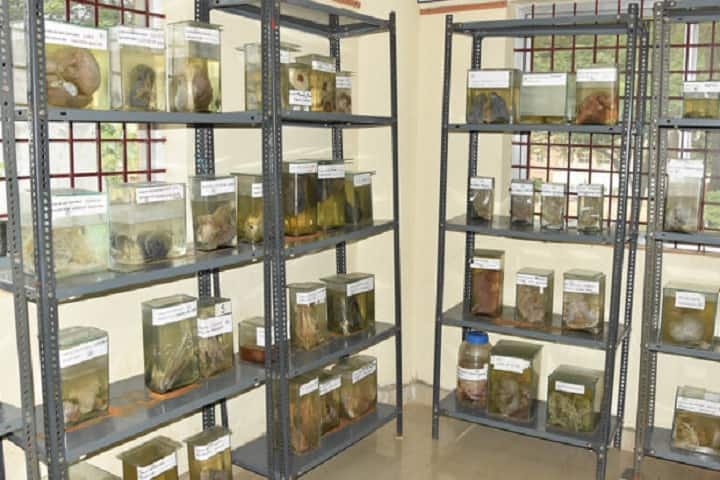 Sri Sathya Sai College of Homeopathic Medicine and Hospital, Dharwad campus photo 3