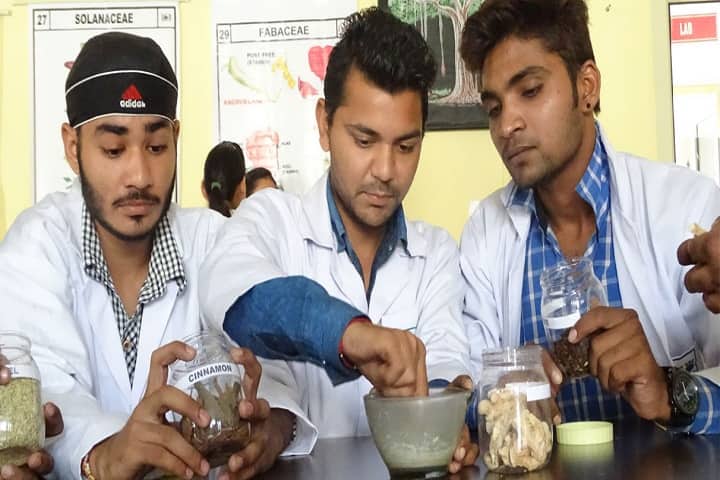 Lala Birkha Ram College of Pharmacy, Barwala campus photo 5