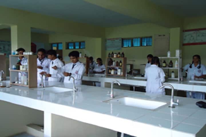 Veena Vadini Ayurveda College and Hospital, Bhopal campus photo 2