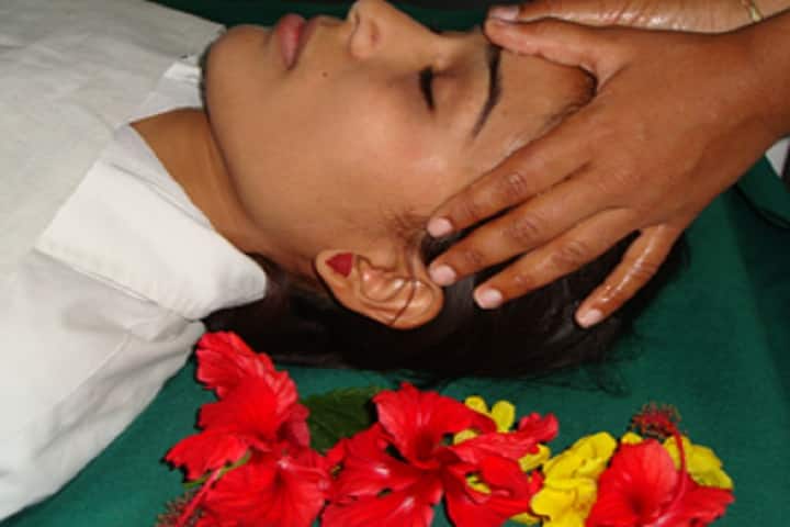 Veena Vadini Ayurveda College and Hospital, Bhopal campus photo 4