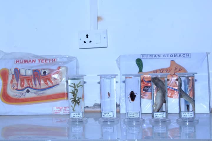LPM College of Pharmacy, Deoria campus photo 4