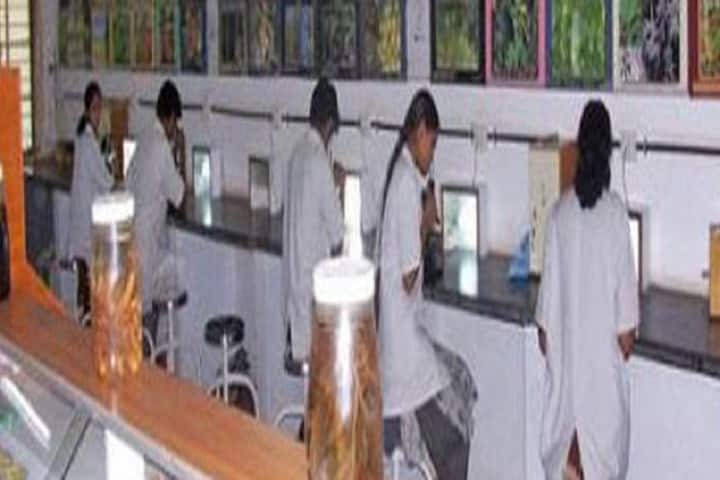 Sri Pathanjali Maharshi Naturopathy and Yoga Medical College, Guntakal campus photo 2
