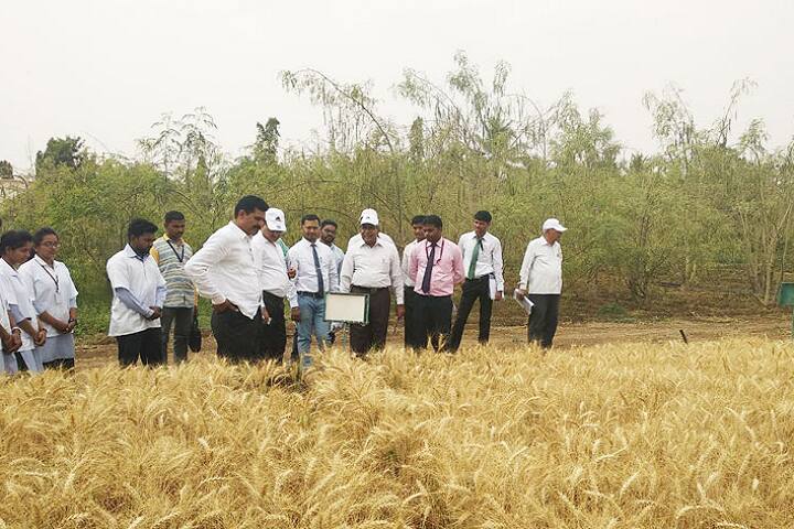 HH Sri Sri Murlidhara Swamiji College of Agriculture, Malegaon campus photo 4