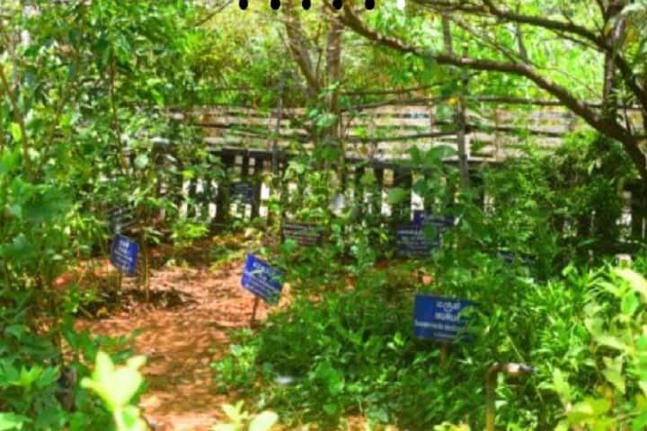 Velumailu Siddha Medical College and Hospital, Sriperumbudur campus photo 5