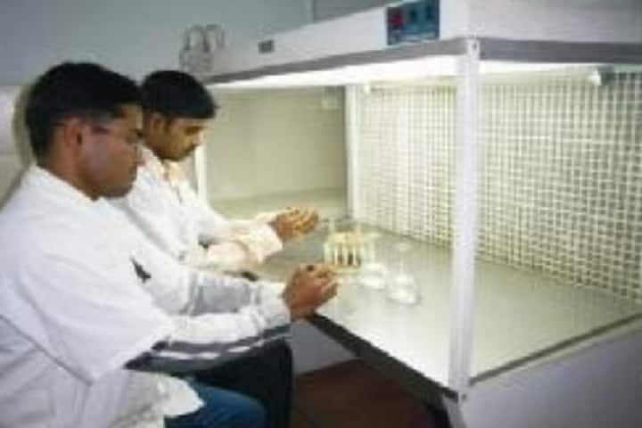 National College of Pharmacy, Shimoga campus photo 5