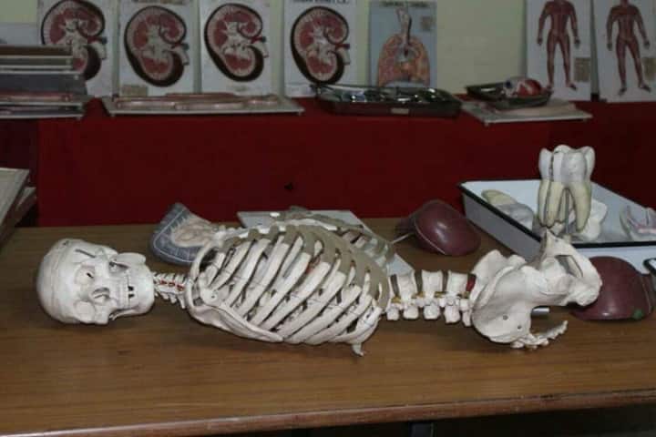 Rosy Royal Homoeopathic Medical College and Hospital, Mallapur campus photo 3